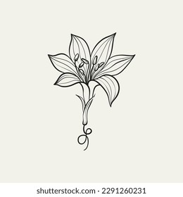 Botanical drawing. Minimal plant logo, botanical graphic sketch drawing,  meadow greenery, leaf and blooming flower abstract sketch element collection, rustic branch. Trendy tiny tattoo design, floral