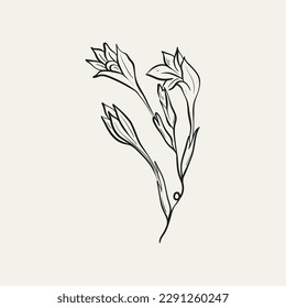 Botanical drawing. Minimal plant logo, botanical graphic sketch drawing,  meadow greenery, leaf and blooming flower abstract sketch element collection, rustic branch. Trendy tiny tattoo design, floral