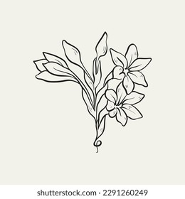 Botanical drawing. Minimal plant logo, botanical graphic sketch drawing,  meadow greenery, leaf and blooming flower abstract sketch element collection, rustic branch. Trendy tiny tattoo design, floral