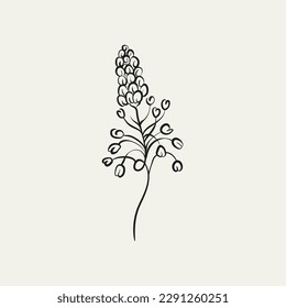 Botanical drawing. Minimal plant logo, botanical graphic sketch drawing,  meadow greenery, leaf and blooming flower abstract sketch element collection, rustic branch. Trendy tiny tattoo design, floral