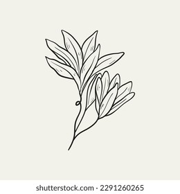 Botanical drawing. Minimal plant logo, botanical graphic sketch drawing,  meadow greenery, leaf and blooming flower abstract sketch element collection, rustic branch. Trendy tiny tattoo design, floral