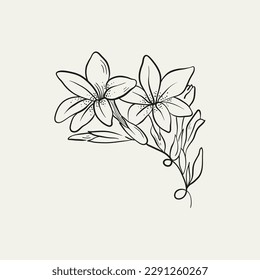 Botanical drawing. Minimal plant logo, botanical graphic sketch drawing,  meadow greenery, leaf and blooming flower abstract sketch element collection, rustic branch. Trendy tiny tattoo design, floral