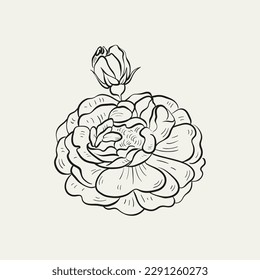 Botanical drawing. Minimal plant logo, botanical graphic sketch drawing,  meadow greenery, leaf and blooming flower abstract sketch element collection, rustic branch. Trendy tiny tattoo design, floral