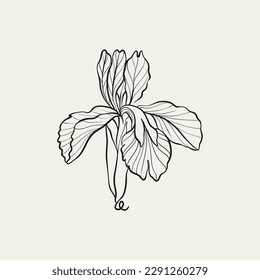 Botanical drawing. Minimal plant logo, botanical graphic sketch drawing,  meadow greenery, leaf and blooming flower abstract sketch element collection, rustic branch. Trendy tiny tattoo design, floral