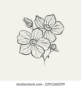 Botanical drawing. Minimal plant logo, botanical graphic sketch drawing,  meadow greenery, leaf and blooming flower abstract sketch element collection, rustic branch. Trendy tiny tattoo design, floral