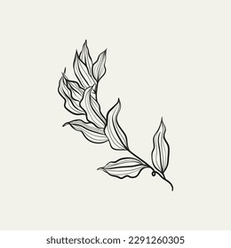 Botanical drawing. Minimal plant logo, botanical graphic sketch drawing,  meadow greenery, leaf and blooming flower abstract sketch element collection, rustic branch. Trendy tiny tattoo design, floral