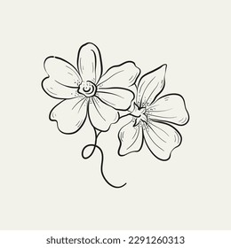 Botanical drawing. Minimal plant logo, botanical graphic sketch drawing,  meadow greenery, leaf and blooming flower abstract sketch element collection, rustic branch. Trendy tiny tattoo design, floral