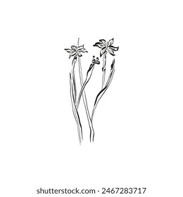 Botanical drawing. Minimal plant logo, botanical graphic sketch drawing,  meadow greenery, leaf and blooming flower abstract sketch element collection, rustic branch. Trendy tiny tattoo design, floral