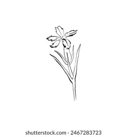 Botanical drawing. Minimal plant logo, botanical graphic sketch drawing,  meadow greenery, leaf and blooming flower abstract sketch element collection, rustic branch. Trendy tiny tattoo design, floral