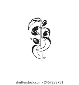 Botanical drawing. Minimal plant logo, botanical graphic sketch drawing,  meadow greenery, leaf and blooming flower abstract sketch element collection, rustic branch. Trendy tiny tattoo design, floral