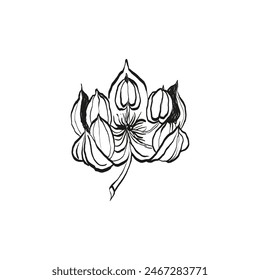 Botanical drawing. Minimal plant logo, botanical graphic sketch drawing,  meadow greenery, leaf and blooming flower abstract sketch element collection, rustic branch. Trendy tiny tattoo design, floral
