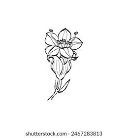 Botanical drawing. Minimal plant logo, botanical graphic sketch drawing,  meadow greenery, leaf and blooming flower abstract sketch element collection, rustic branch. Trendy tiny tattoo design, floral