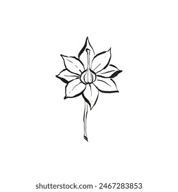 Botanical drawing. Minimal plant logo, botanical graphic sketch drawing,  meadow greenery, leaf and blooming flower abstract sketch element collection, rustic branch. Trendy tiny tattoo design, floral