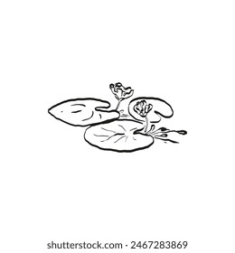 Dibujo botánico. Logotipo de planta mínima, dibujo de boceto gráfico botánico, vegetación de prado, hoja y flor floreciente colección de elemento de boceto abstracto, rama rústica. Diseño de tatuaje pequeño de moda, floral