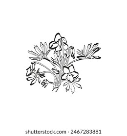 Botanical drawing. Minimal plant logo, botanical graphic sketch drawing,  meadow greenery, leaf and blooming flower abstract sketch element collection, rustic branch. Trendy tiny tattoo design, floral