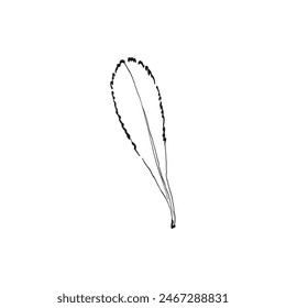 Botanical drawing. Minimal plant logo, botanical graphic sketch drawing,  meadow greenery, leaf and blooming flower abstract sketch element collection, rustic branch. Trendy tiny tattoo design, floral