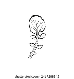 Botanical drawing. Minimal plant logo, botanical graphic sketch drawing,  meadow greenery, leaf and blooming flower abstract sketch element collection, rustic branch. Trendy tiny tattoo design, floral