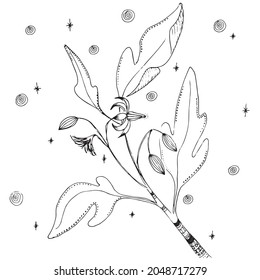 Botanical drawing tomato branch, leaves, flowers and buds. Vector hand drawn design element. Minimal plant logo, meadow greenery, leaf and blooming flower abstract sketch element, linear rustic branc