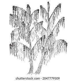  Botanical drawing. Vector hand drawn design element. Minimal plant logo, meadow greenery, leaf and blooming flower abstract sketch element, linear rustic branch. 
