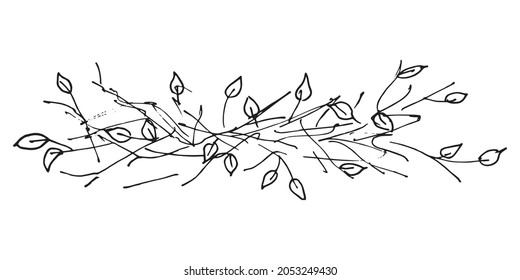 Botanical drawing. Vector hand drawn design element. Minimal plant logo, meadow greenery, leaf and blooming flower abstract sketch element, linear rustic branch. 

