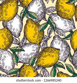 Botanical drawings. Lemon tree print. Hand drawn vector illustration of Lemon fruits on branches.