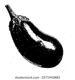 botanical eggplant illustration in black and white  vintage engraving style, perfect for botanical and culinary designs