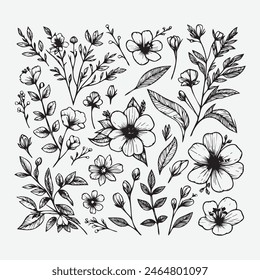 Botanical Elegance: A Collection of Floral Vector Outlines