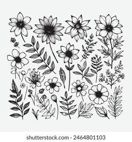 Botanical Elegance: A Collection of Floral Vector Outlines