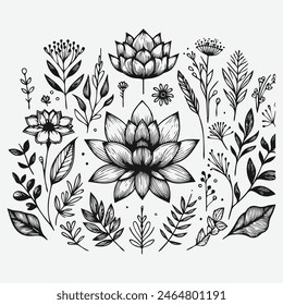 Botanical Elegance: A Collection of Floral Vector Outlines