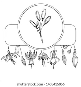 Botanical elegant frames with vintage beautiful wildflowers of ink. Delicate and romantic floral design element, perfect for templates, weddings, packaging, scrapbooking. Stock Illustration