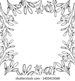 Botanical elegant frames with vintage beautiful wildflowers of ink. Delicate and romantic floral design element, perfect for templates, weddings, packaging, scrapbooking. Stock Illustration