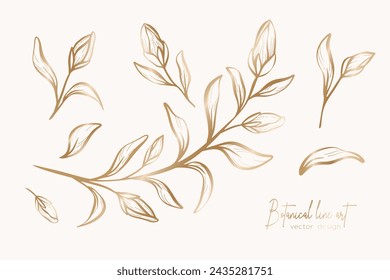 Botanical elegant gold line art illustration of flower leaves branch for wedding invitation and cards, logo design, web, social media and poster, template, advertisement, beauty and cosmetic industry.