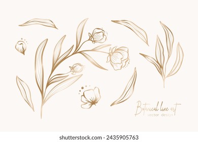 Botanical elegant gold line art illustration of flower leaves branch for wedding invitation and cards, logo design, web, social media and poster, template, advertisement, beauty and cosmetic industry.