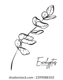 Botanical elegant line illustration of a eucalyptus leaves branch for wedding invitation and cards, logo design, web, social media and poster, template, advertisement, beauty and cosmetic industry.