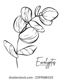 Botanische elegante Linie Illustration eines Eukalyptus verlässt Zweig für Hochzeitseinladung und Karten, Logo-Design, Web, soziale Medien und Poster, Vorlage, Werbung, Schönheit und Kosmetik-Industrie.