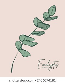 Botanical elegant line illustration of a eucalyptus leaves branch for wedding invitation and cards, logo design, web, social media and poster, template, advertisement, beauty and cosmetic industry.	