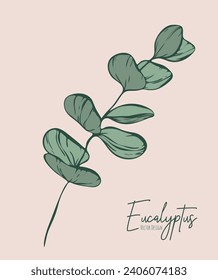 Botanische elegante Linie Illustration eines Eukalyptus verlässt Zweig für Hochzeitseinladung und Karten, Logo-Design, Web, soziale Medien und Poster, Vorlage, Werbung, Schönheit und Kosmetik-Industrie.	