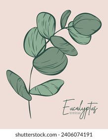Botanical elegant line illustration of a eucalyptus leaves branch for wedding invitation and cards, logo design, web, social media and poster, template, advertisement, beauty and cosmetic industry.	