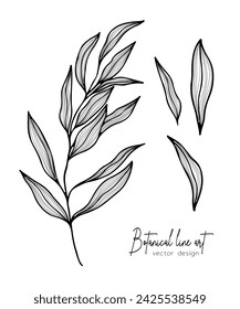 Botanical elegant line illustration of a leaves branch for wedding invitation and cards, logo design, web, social media and poster, template, advertisement, beauty and cosmetic industry.