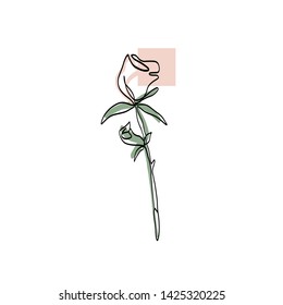 botanical element drawn one continuous line, minimalistic simple organic natural element isolated on white background. Ecology logo, nature concept design 