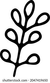 Botanical element. Floral ornament for card, logo design, print fashion.
