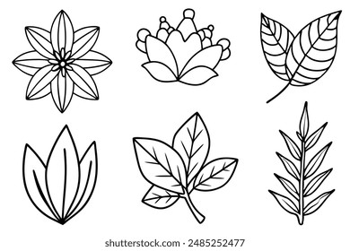 Botanical Element Frame illustration perfect for projects with nature and botanical themes