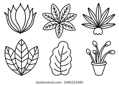 Botanical Element Frame illustration perfect for creative and nature-themed projects