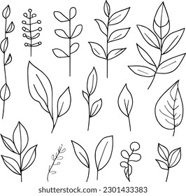 Botanical element, botanical line drawing, vintage botanical coloring pages, natural elements, botanical flower illustration, wildflower illustration black and white,