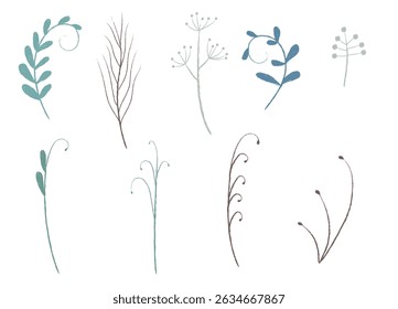 Botanical Elements, color wax crayon Style, Isolated on White Background.