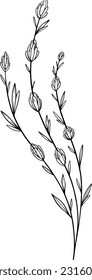 Elementos botánicos para el diseño, arte de la línea de hierbas, diseño de la línea de flores silvestres