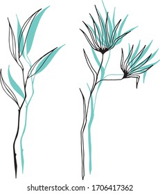 Botanical Elements For Design / Leaves And Petals
