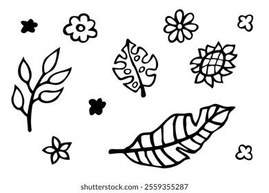 Botanical elements doodles set. Vector collection of hand drawn tropical leaves.