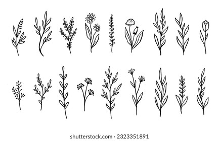 Botanical elements flowers and branch set. Line art style vector illustration. Isolated on white background.