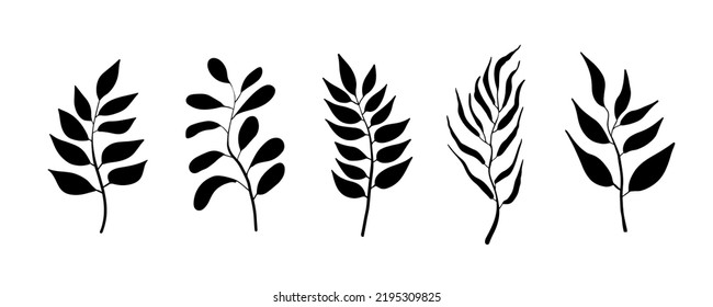 Botanical elements icons vector. Set of silhouette branches with leaf and stem in trendy modern style. Vector palm leaves isolated on white background. Hand drawn decorative botanical elements, sketch